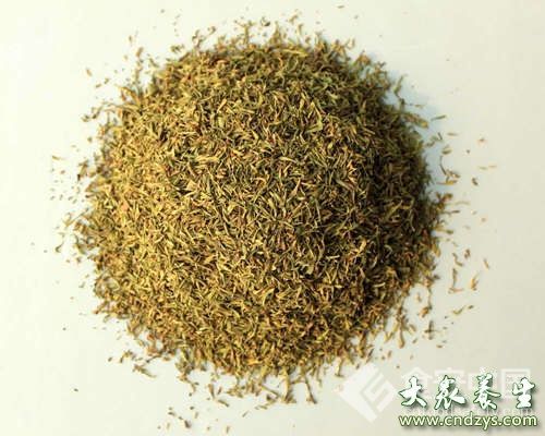 10類食物含有益菌 改善腸胃健康(10)