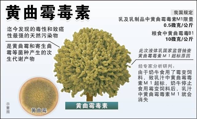 奶粉里為何會出現一類致癌物黃曲霉毒素？