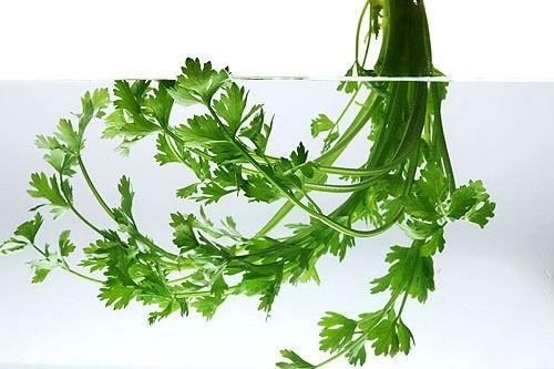 食物真能改變膚色嗎？打破5大吃的謠言