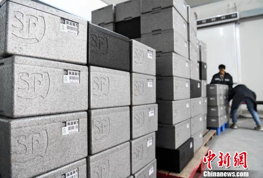 圖為收到第一份澳洲牛肉的居民通過手機掃描二維碼查驗牛肉的屠宰、包裝及坐哪個航班來重慶等信息。 周毅 攝